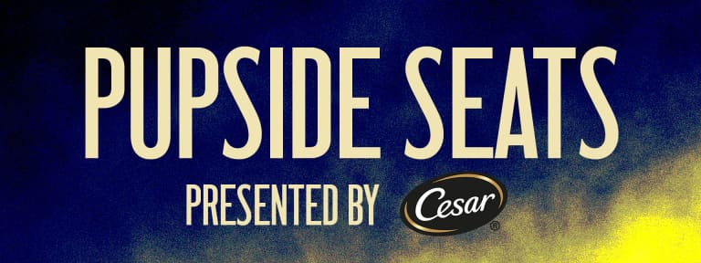 pupside seats cesar